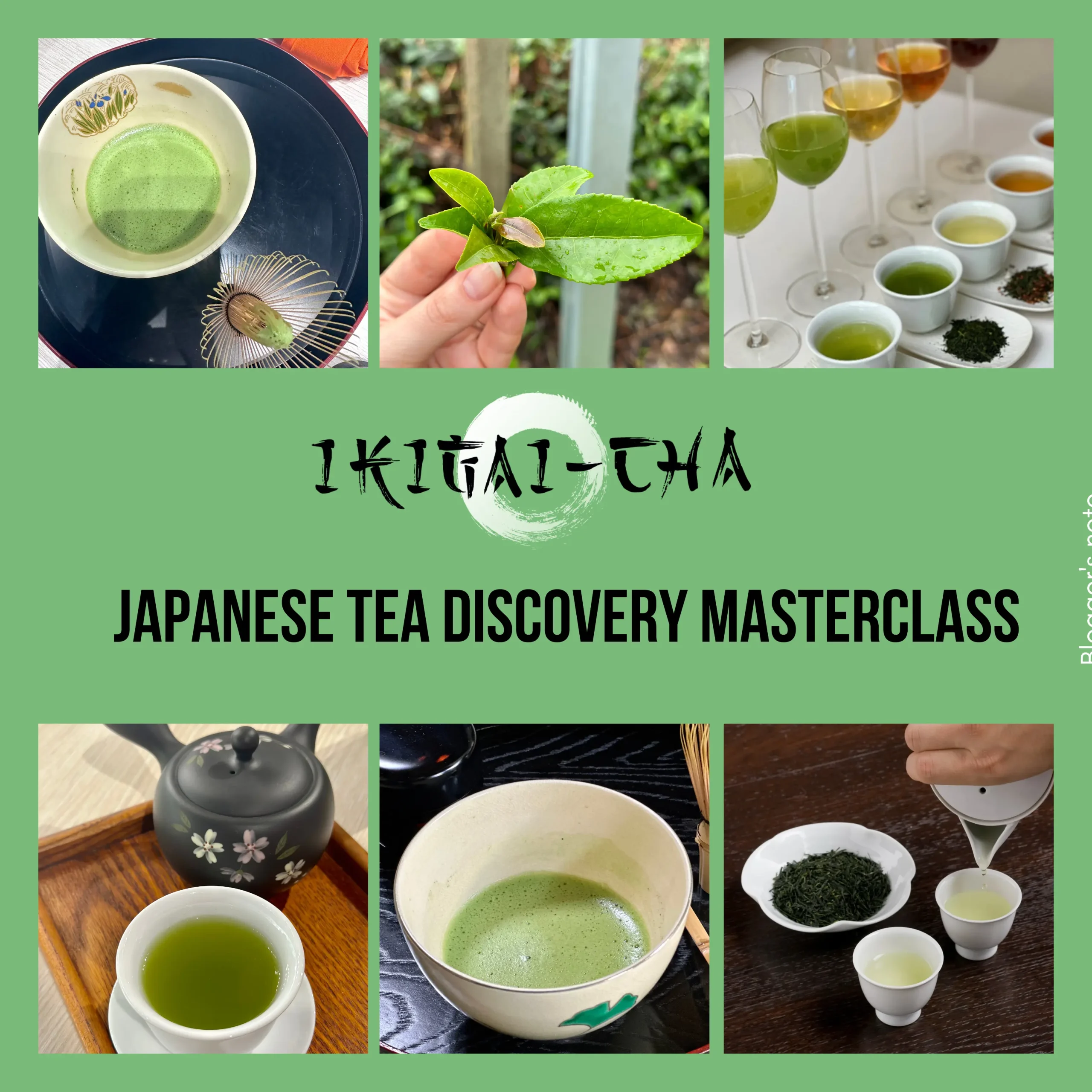 Japanese Tea Discovery Masterclass